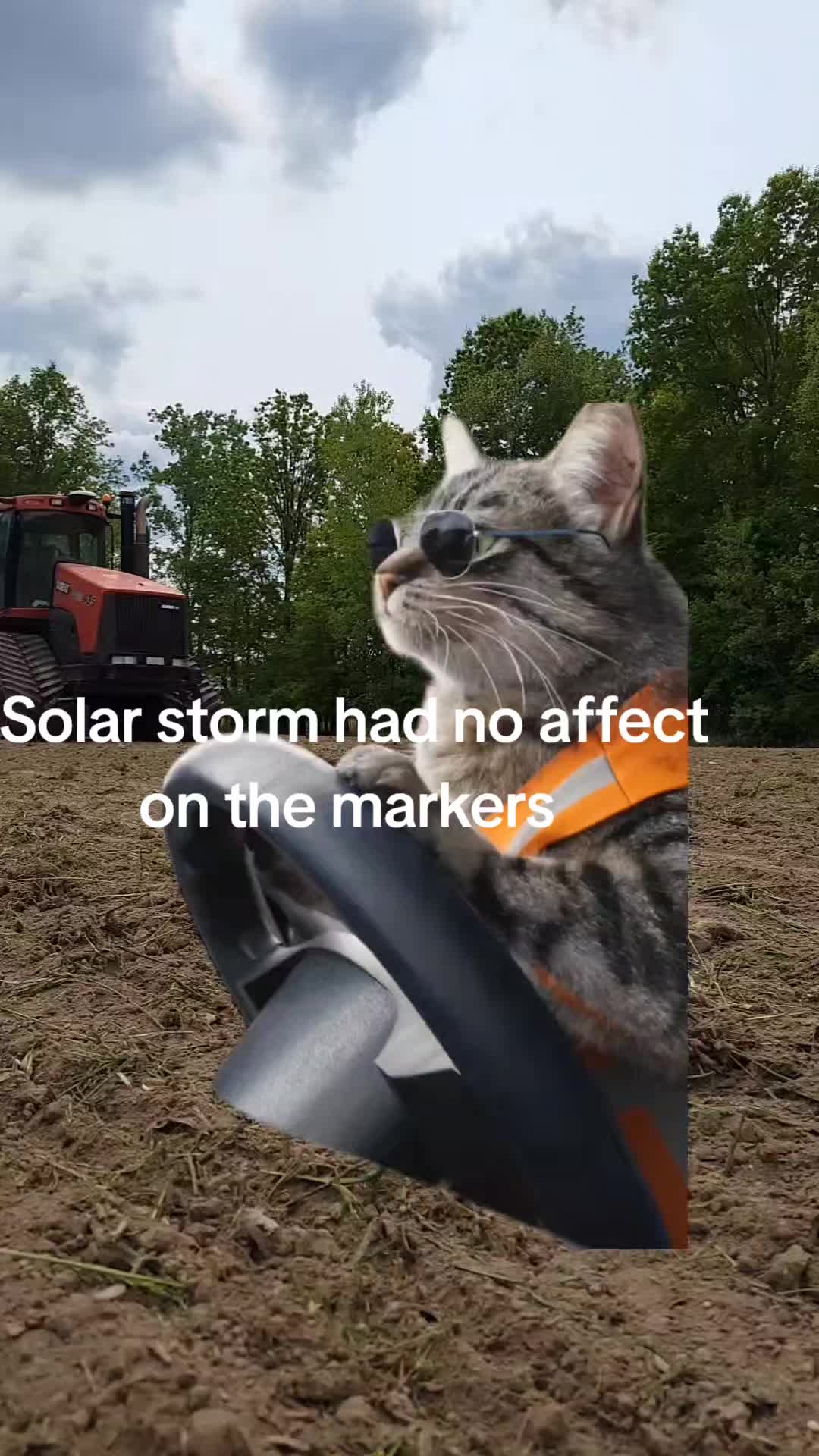 @cchamb