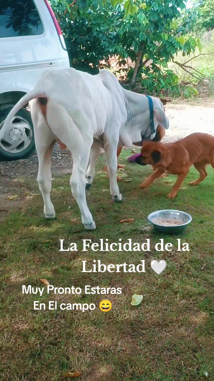 @SERGIO. R._94