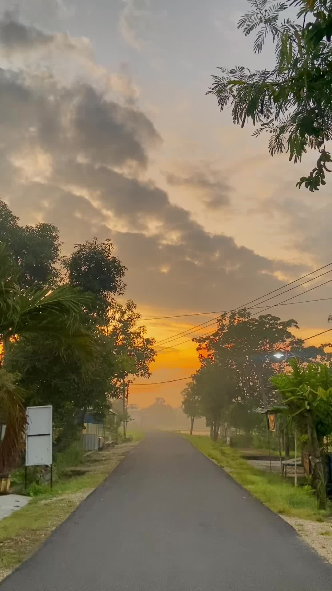 @𝑴𝒂𝒖𝒍𝒍𝒍