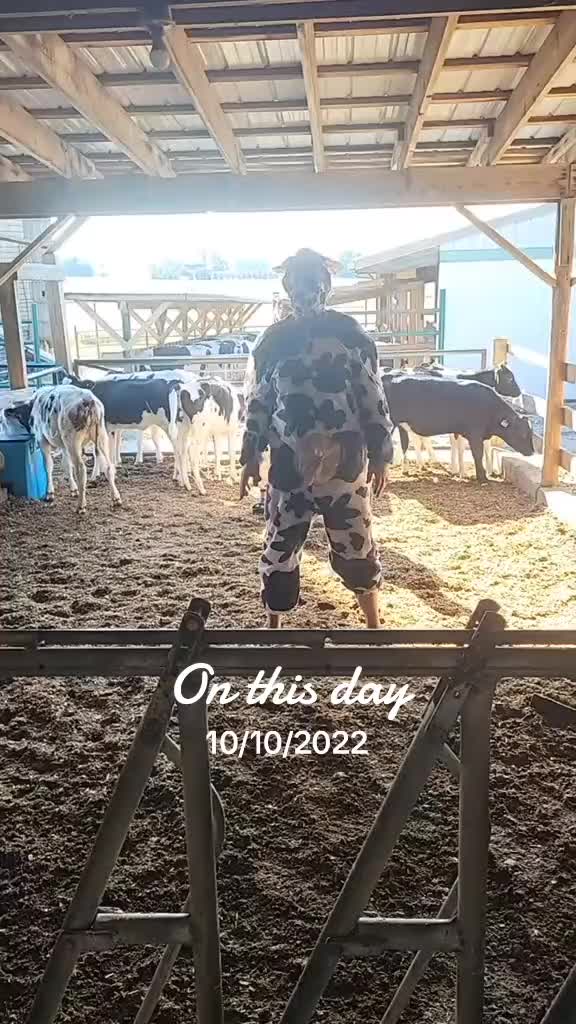 @Farmer Moo
