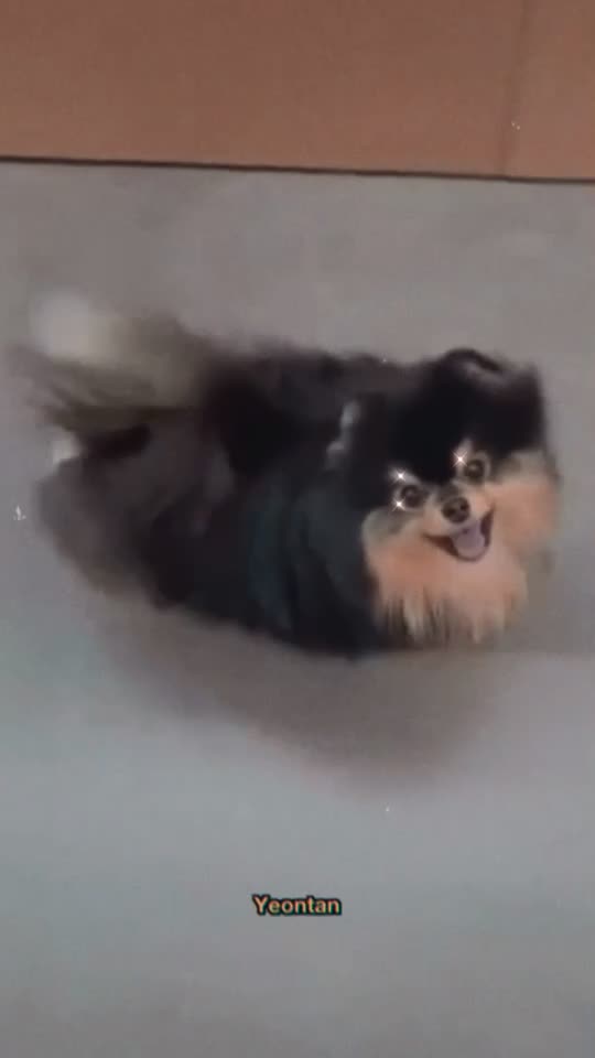 @๐๐๐๐๐ก๐๐๐๐๐