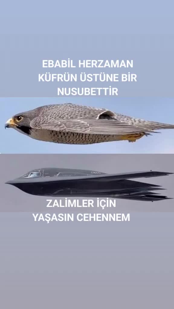 @Attila