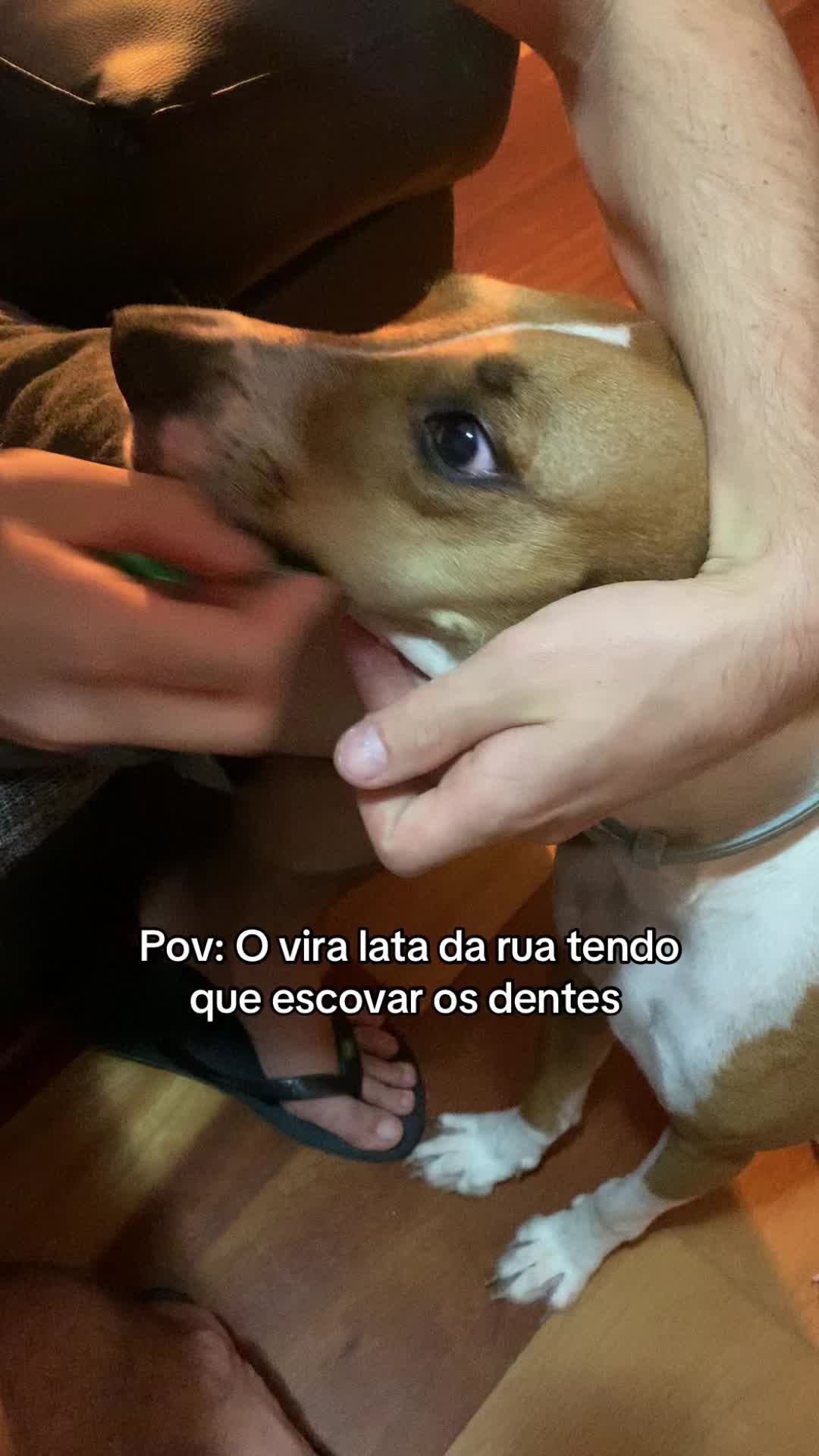 @Pacoserelepe