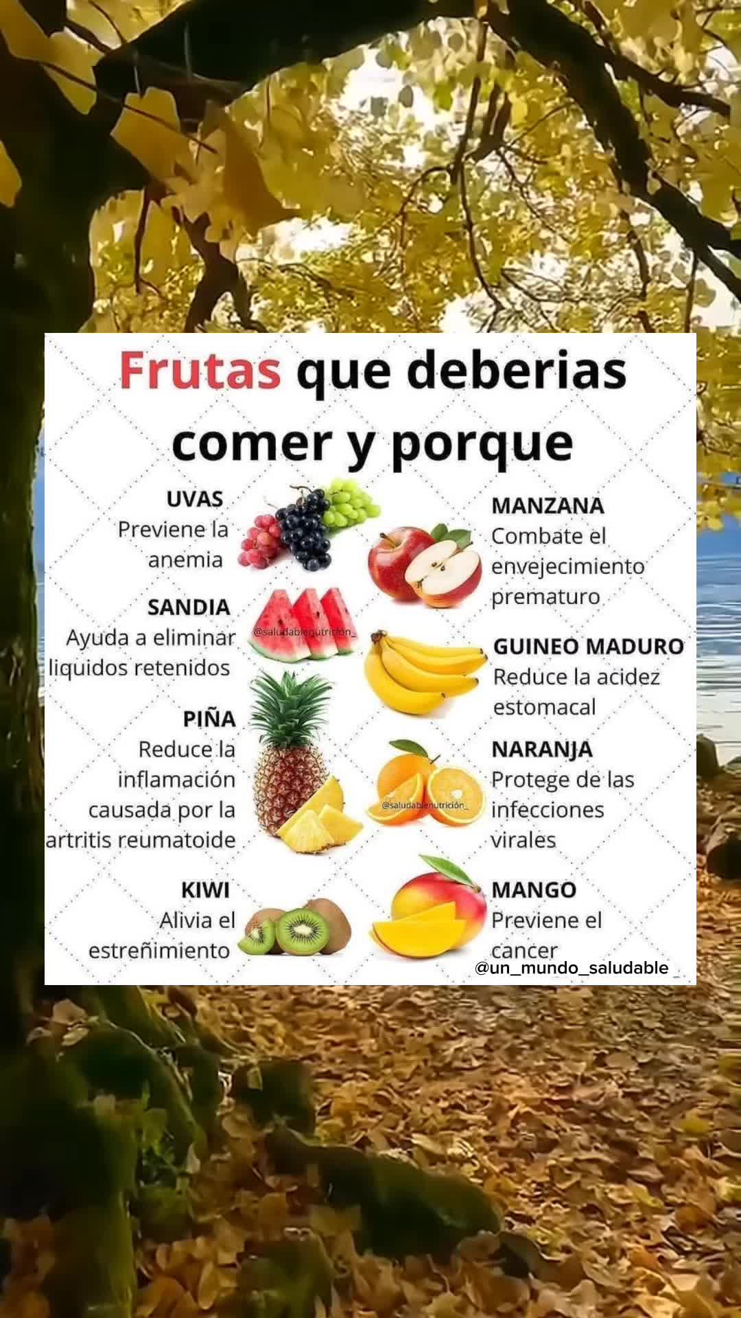 @Un_Mundo_Saludable\☆\