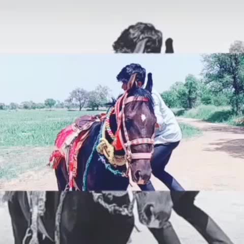 @MaNaV DeSai BiDaJ 🦅