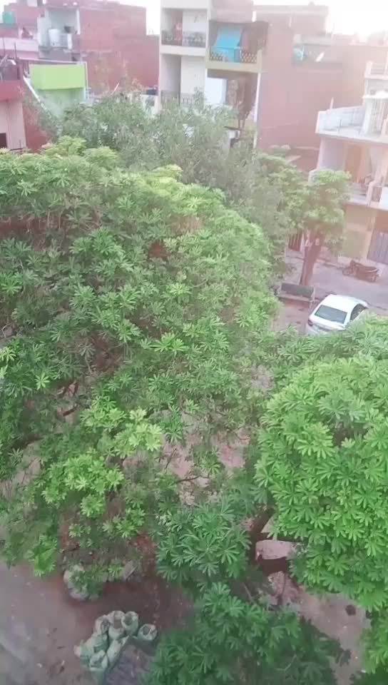 @Mansi Gautam