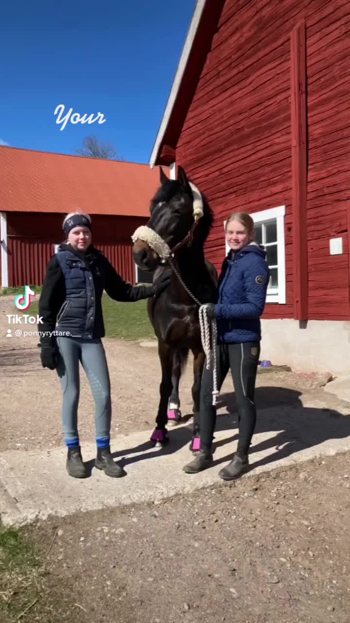 @Hästkonto 💓