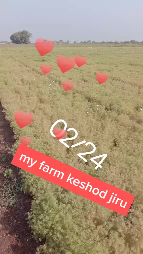 @Subhashsinh Ker