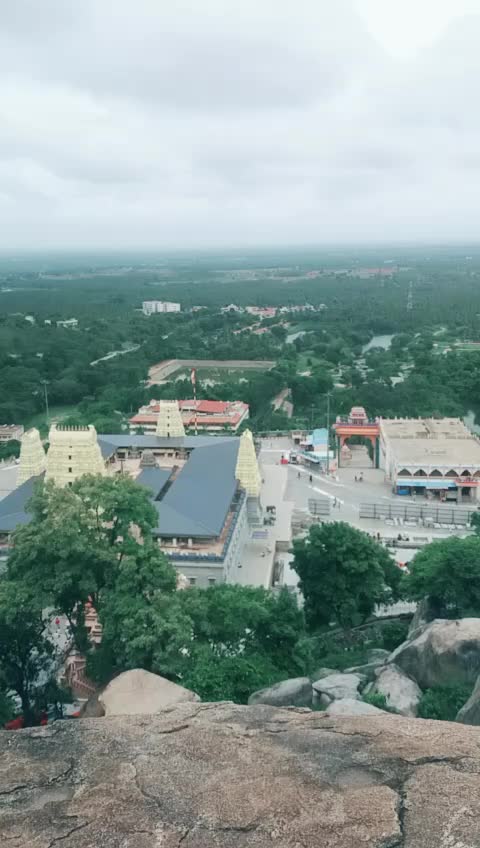 @nivedithagowda
