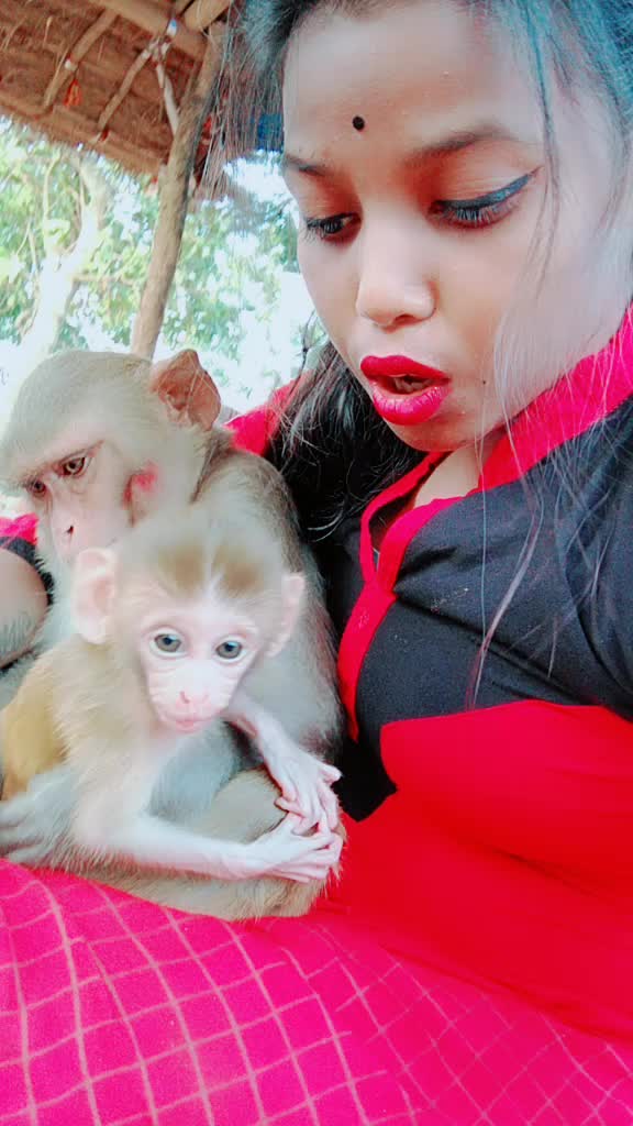 @😍animal lover😍