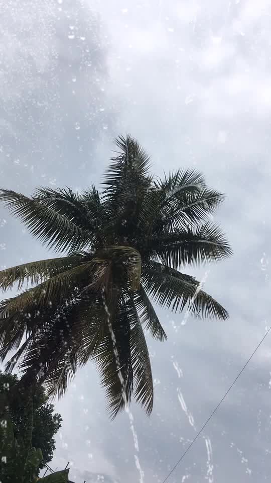 @Pai mohan kokate