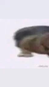 @HusSxain
