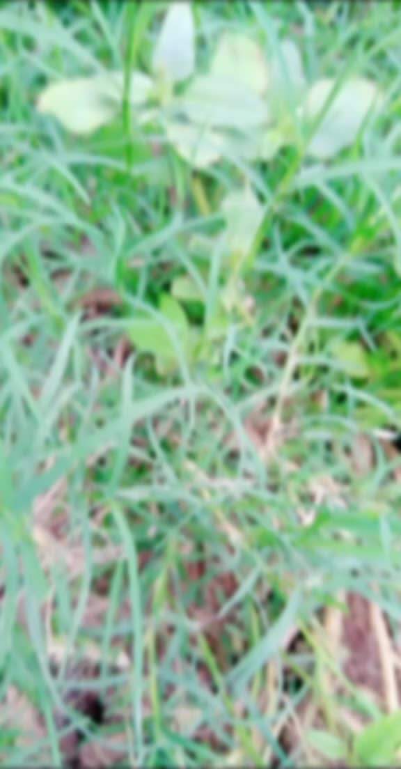 @user4927472940179