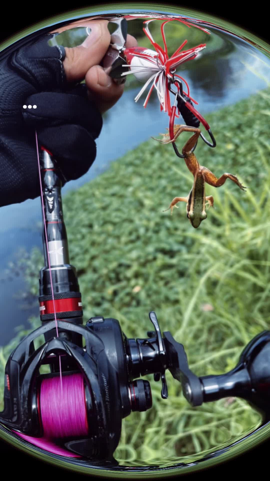 @邱光组 ❤️🔥🎣❤️🔥