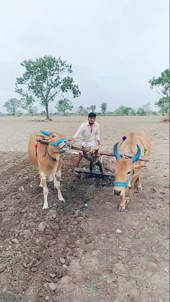 @naveen kumar