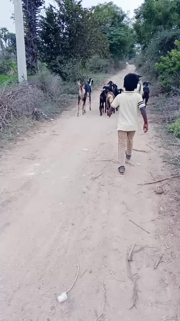 @Dasari.praveen