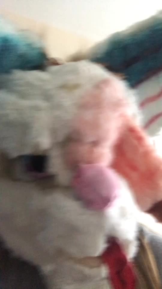 @Furry_Hype_House