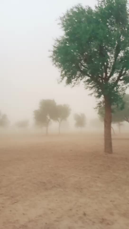 @Musafir Ali