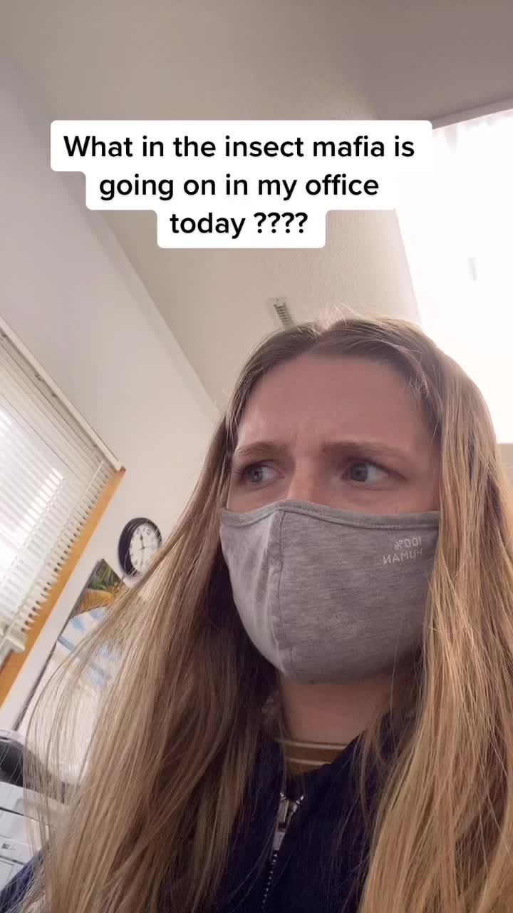 @BONK