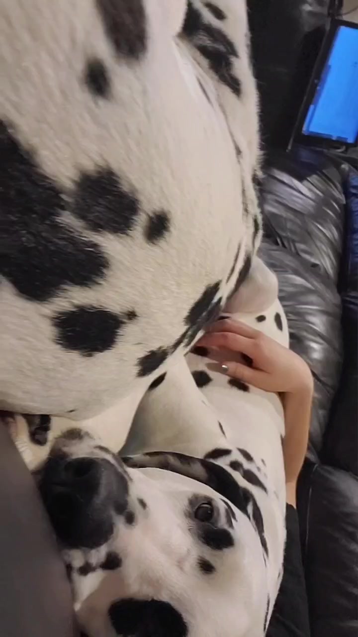@leslie.hutchings99