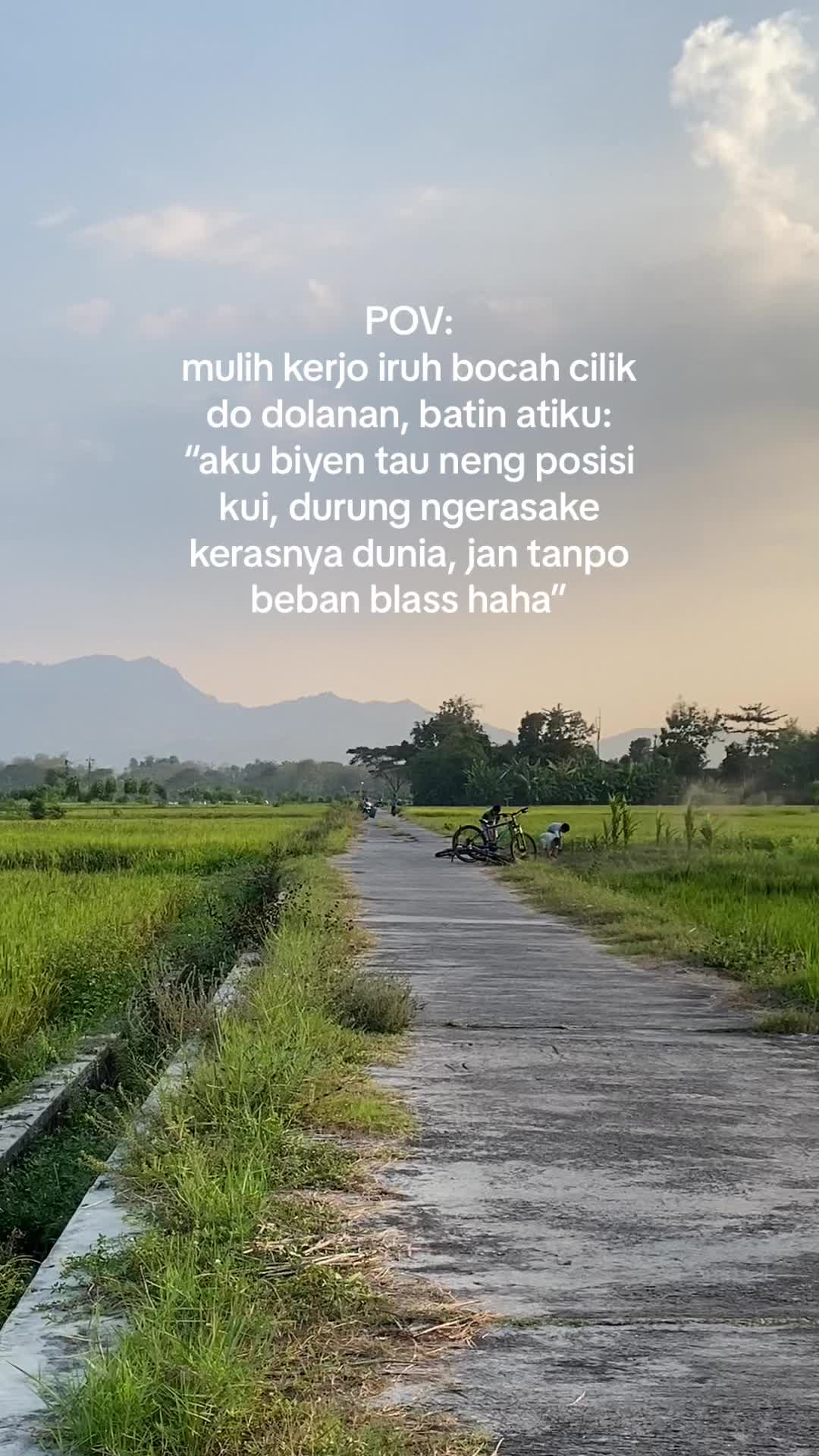 @zal
