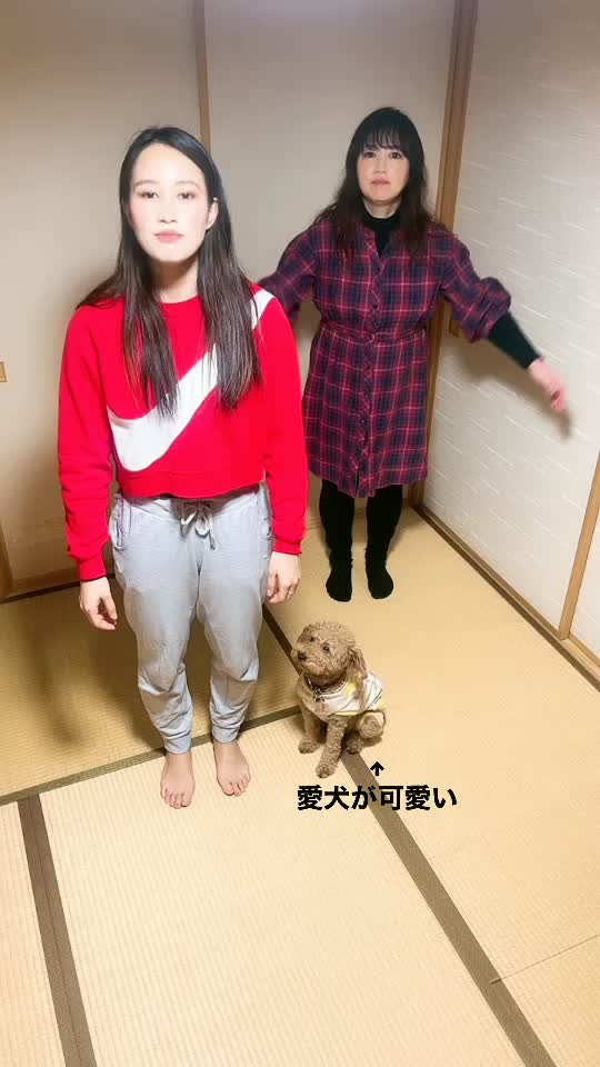 @清水のこたほな