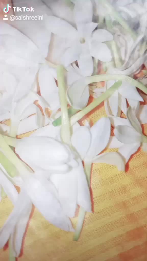 @SaishreeIni