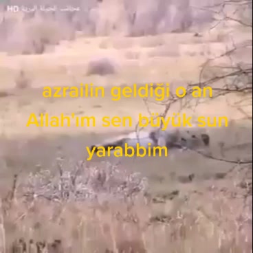 @Burak Akcan