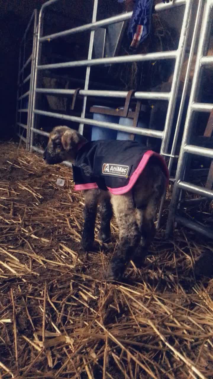 @FARMvisor