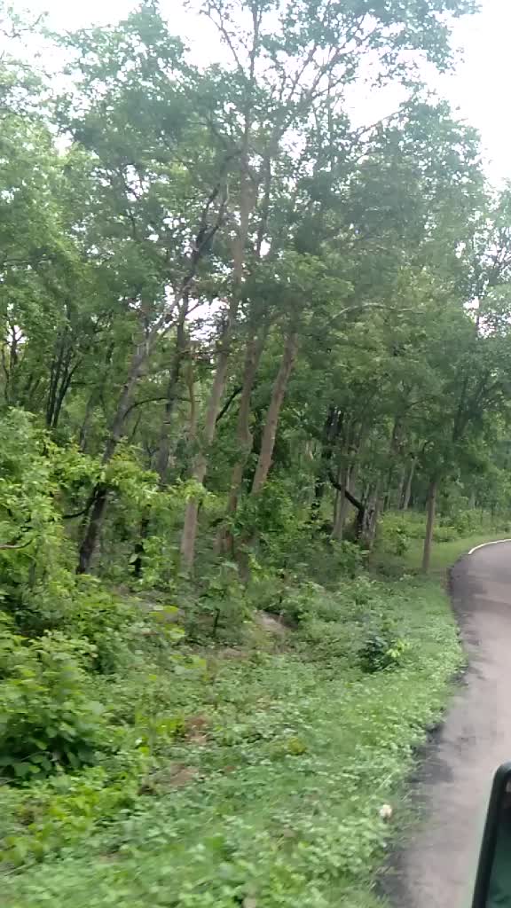 @pratima tiwari