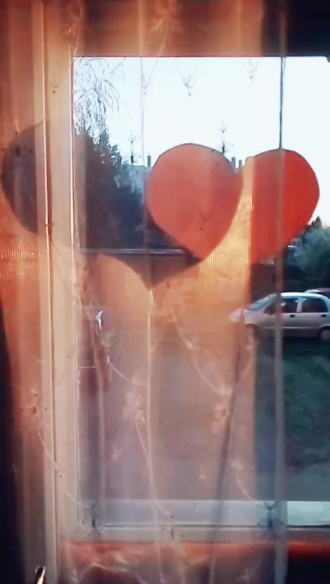 @Zsuzsanna Hajder