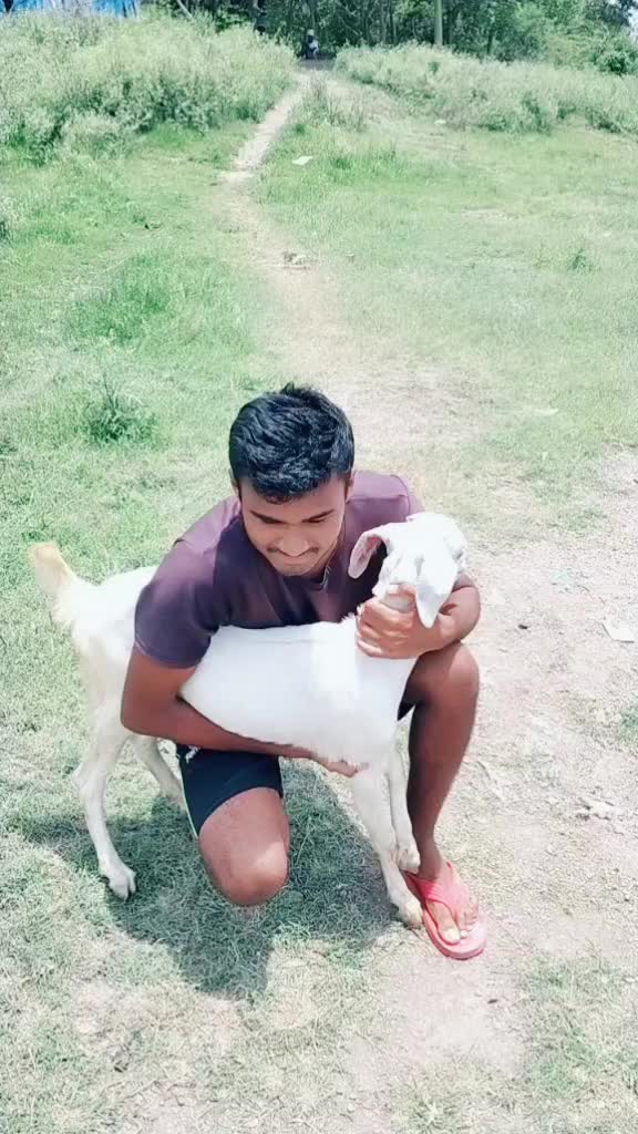 @Rammohan Bawane