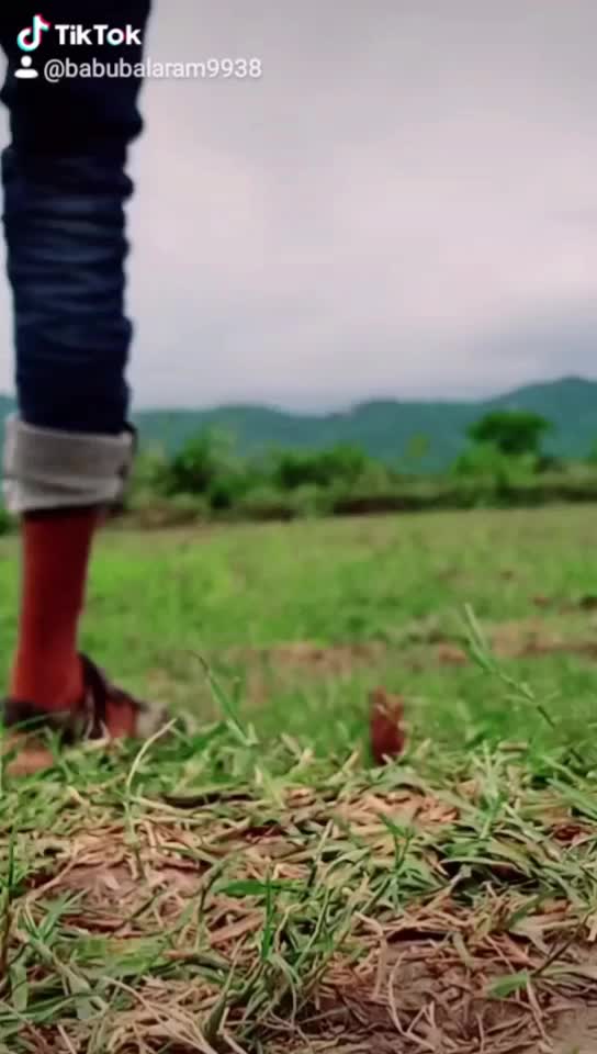 @ଗଞ୍ଜାମ ଟୋକା ହିଲାକେ ରଖ 🤘ଦେଗା