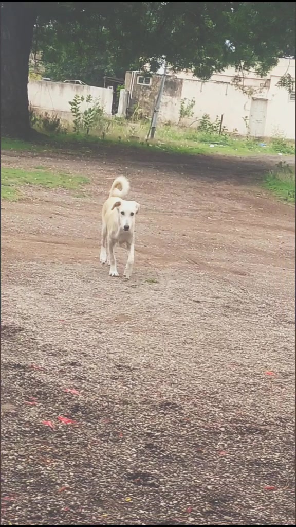 @kalupinujadu025