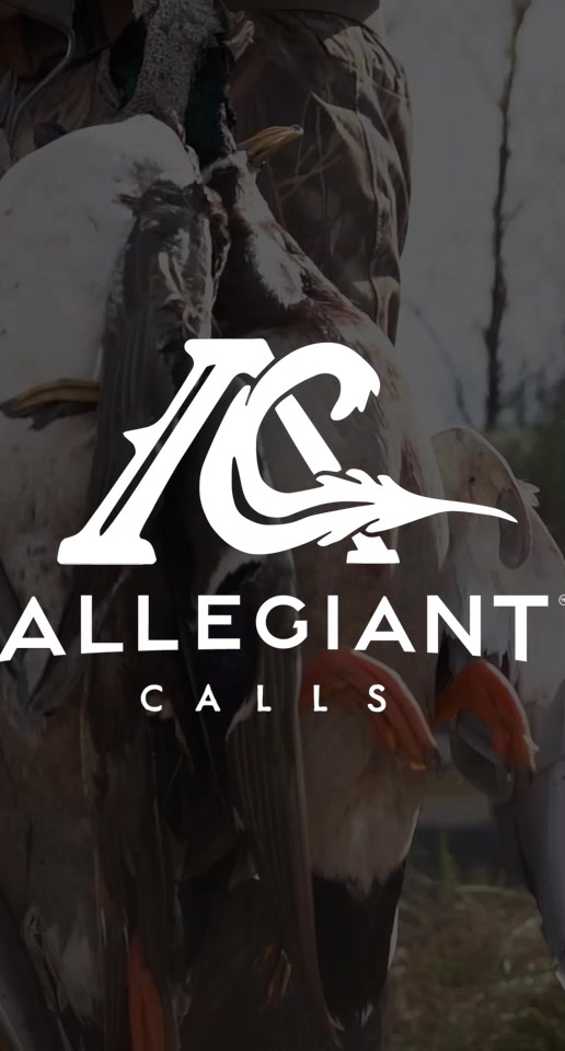 @Allegiant Calls