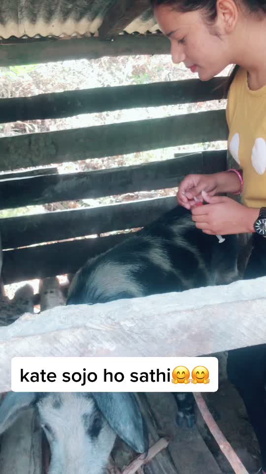 @Ansa💎🦋🐁