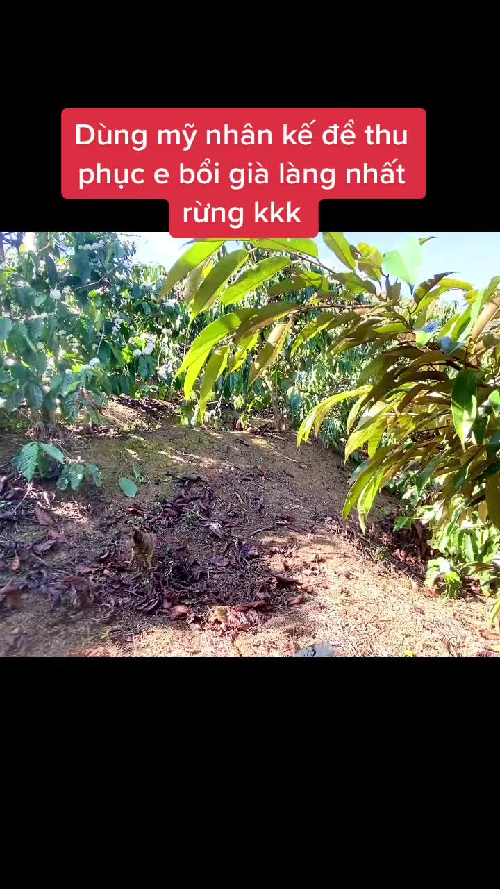 @Trần Tân
