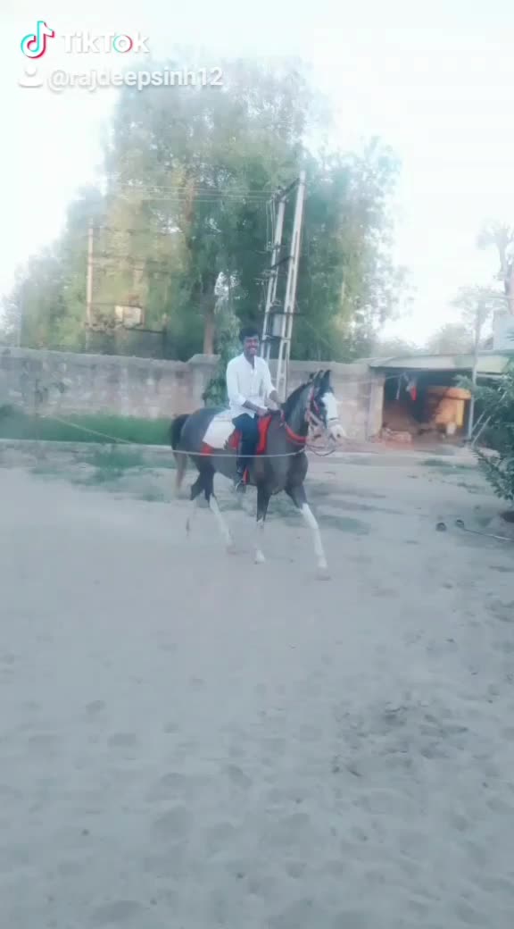 @nirmal_sinh_9