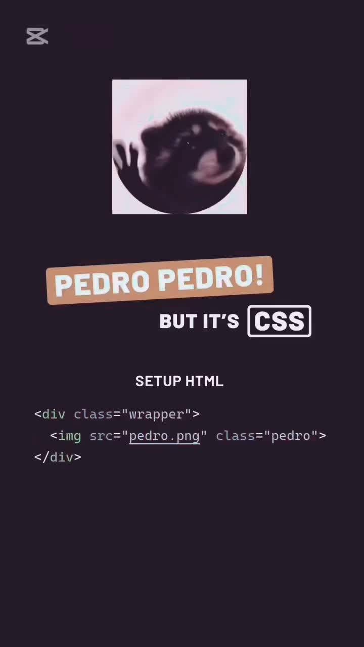 @Hustle Coding