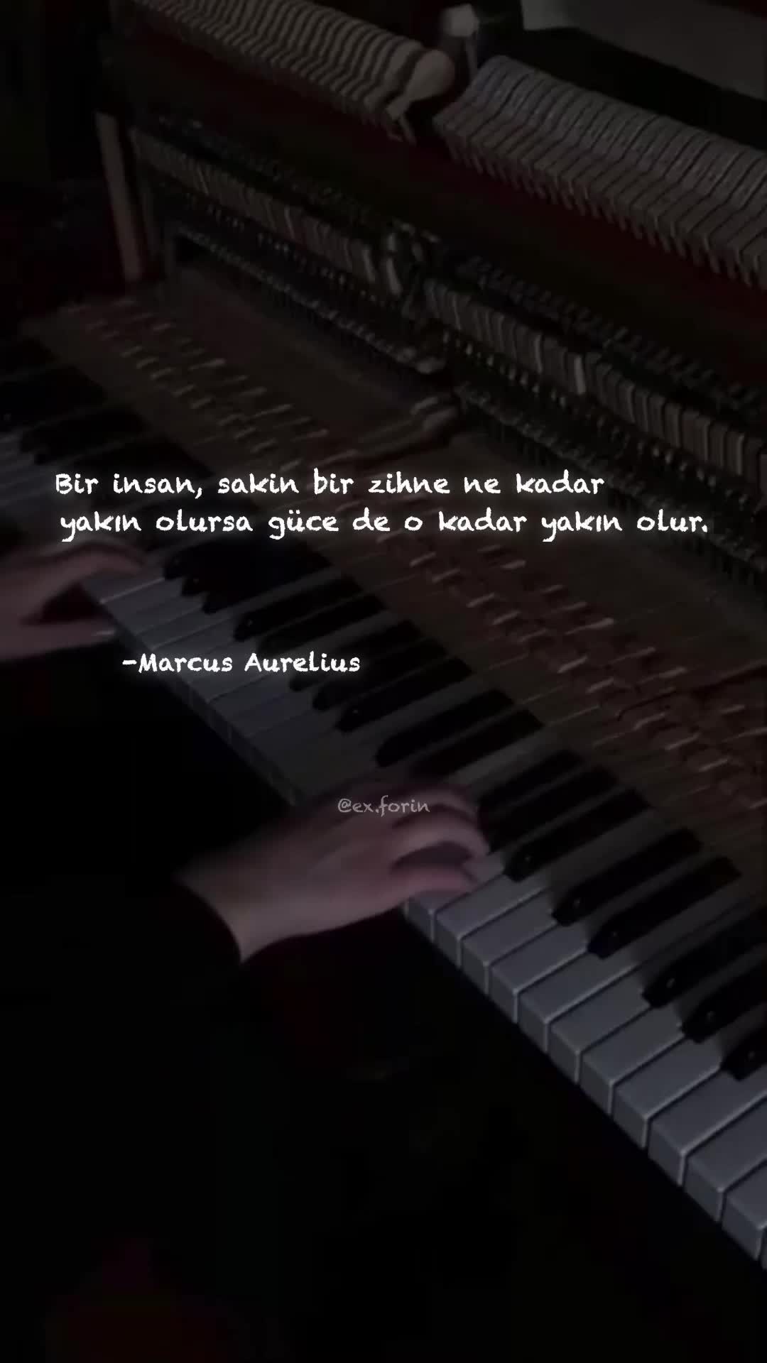 @exforin