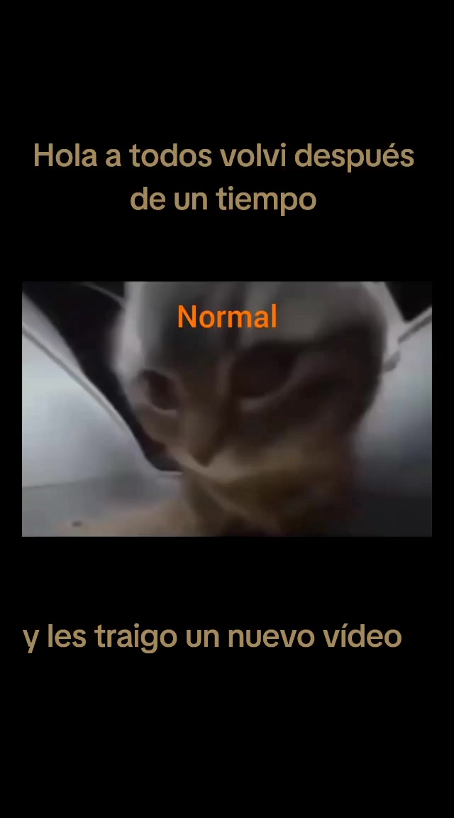 @𝙁𝙇𝙊𝙋𝙋𝘼_𝙈𝙀𝙈𝙀𝙍𝙊100