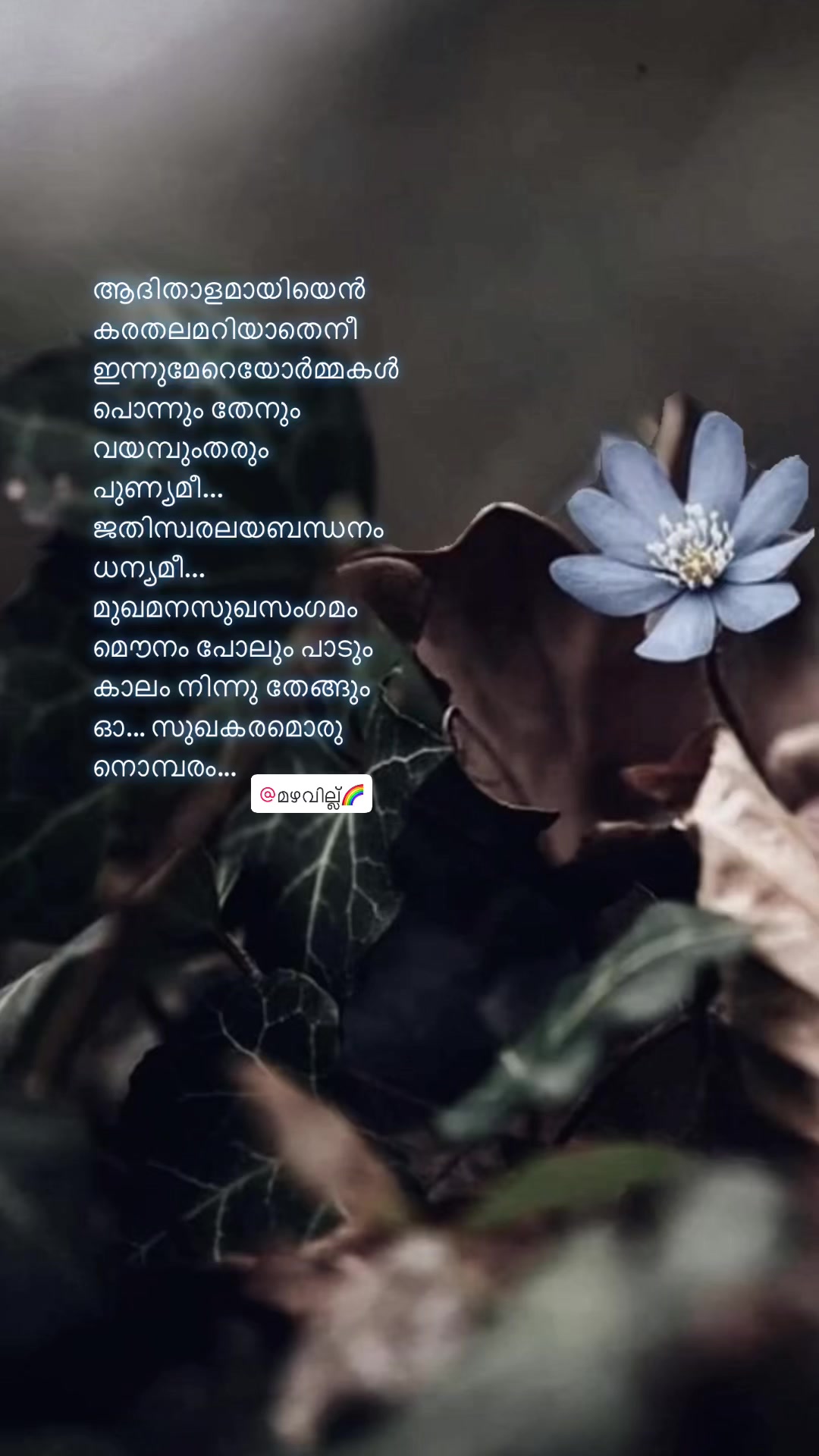 @മഴവില്ല്🌈