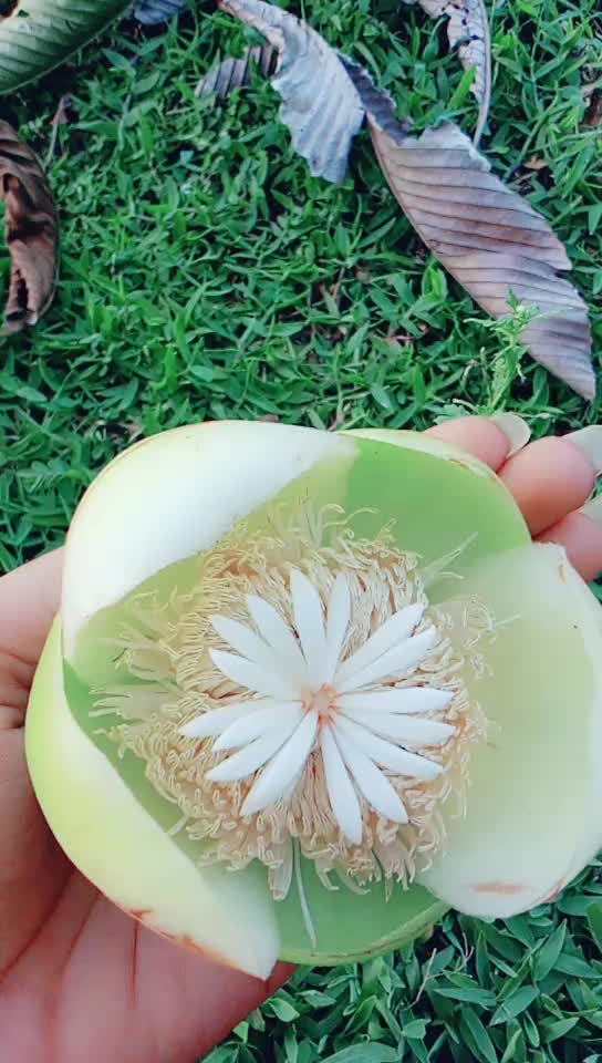 @user4129702189398