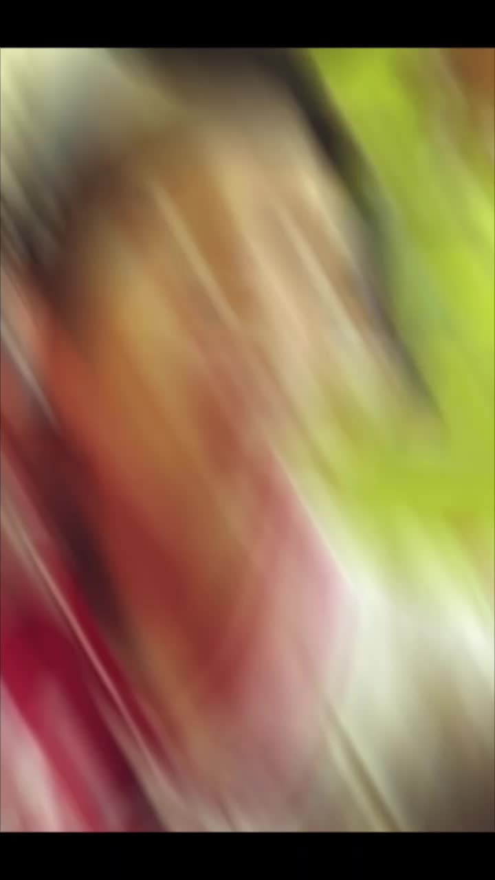 @ⓟⓔⓡⓤⓛⓐⓝⓓ