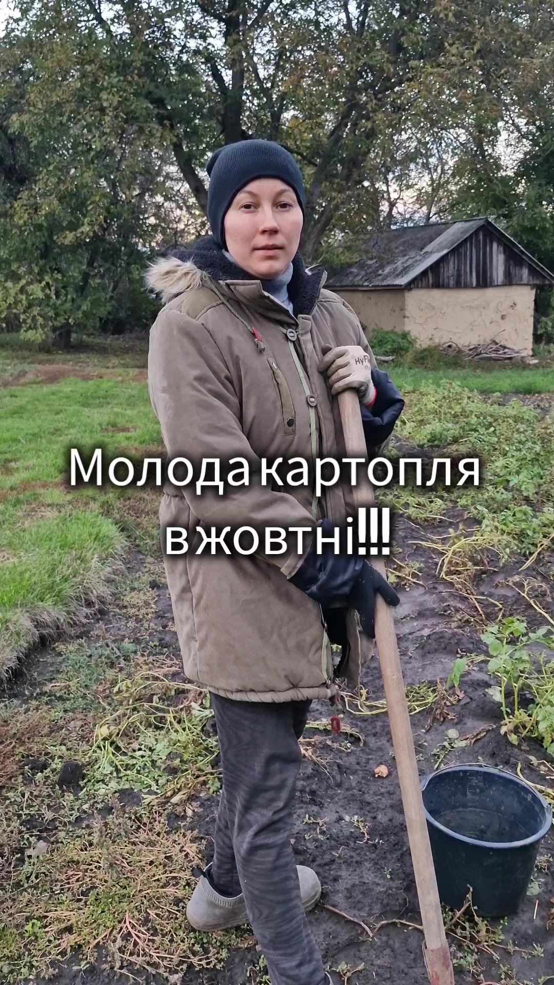 @Вікторія Царенко