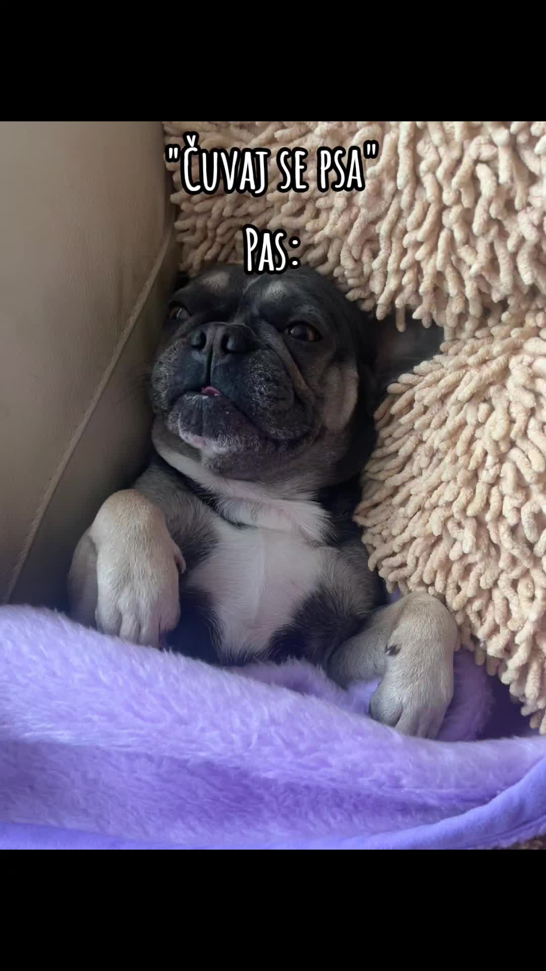 @krisss