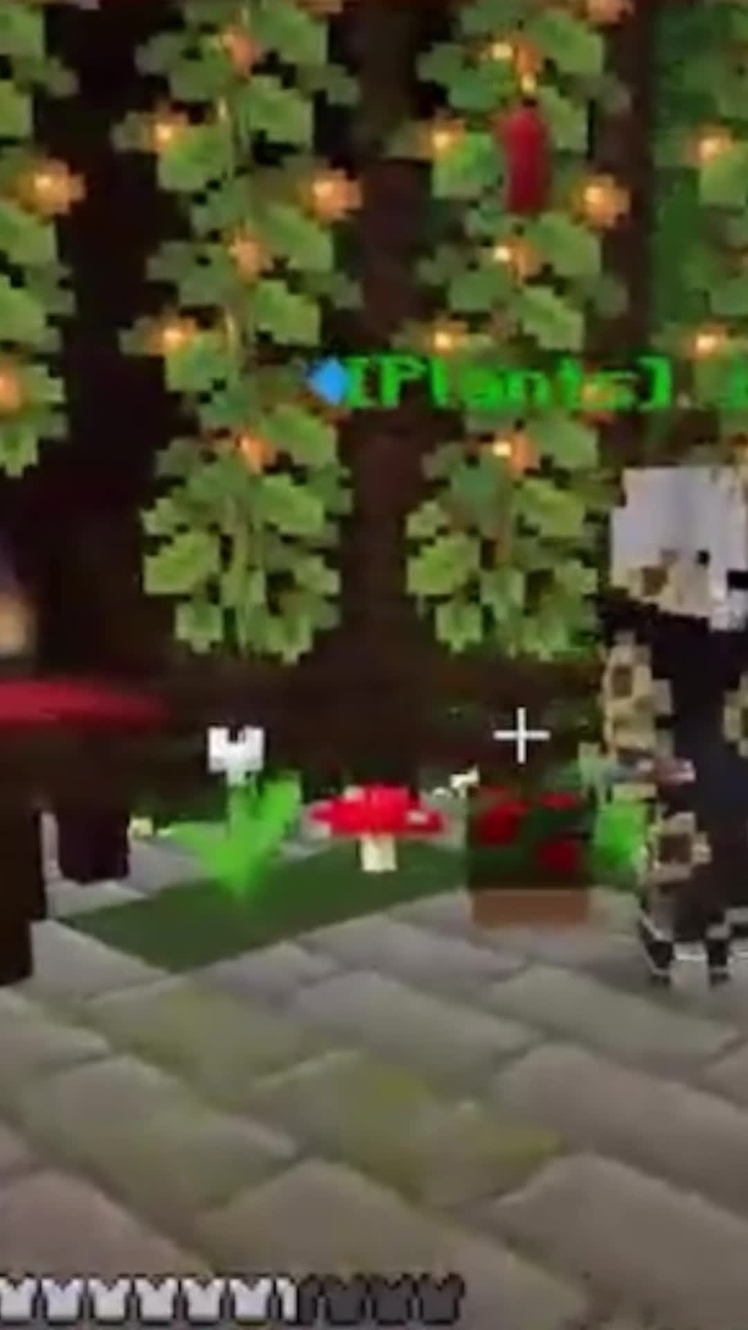 @Elemental SMP
