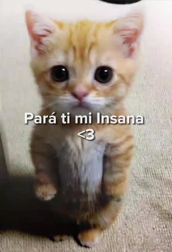 @Johan ❤️&zwj;🩹