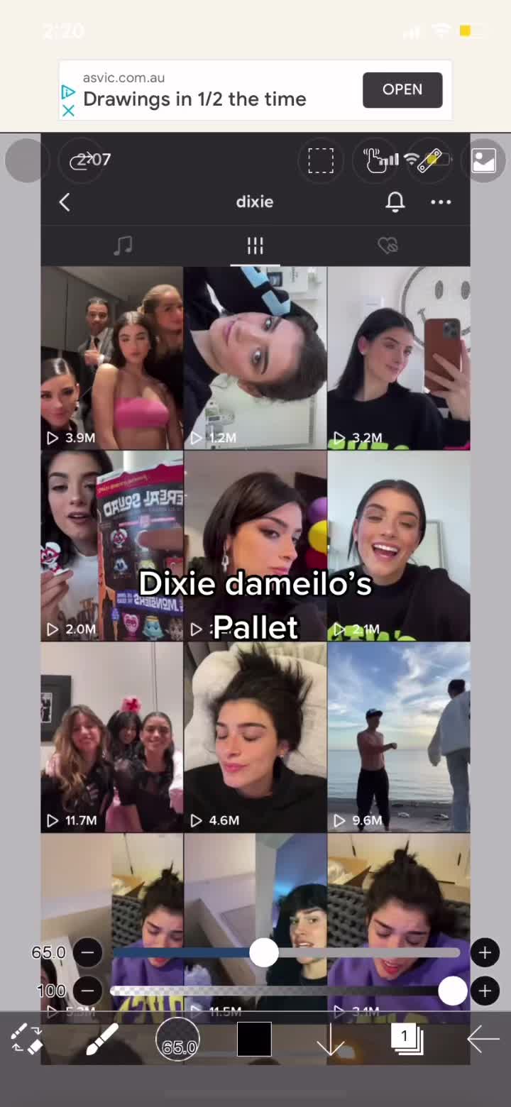 @tiktokersz_pallets