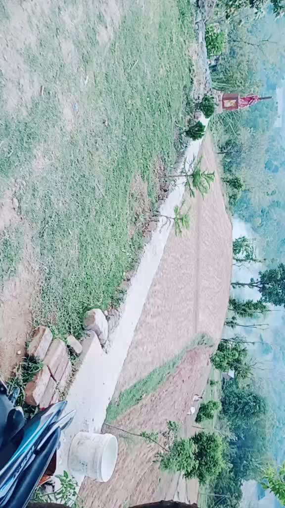 @sharma fojji